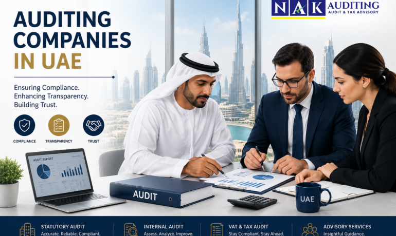 Auditing Companies in UAE providing professional financial audit services